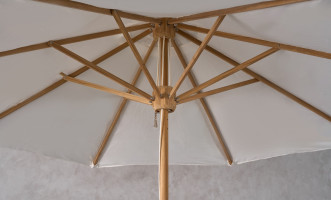 Market Umbrella