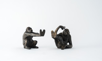 Apes Bookend