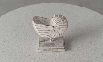 Wooden Decoration Motive Seashell White Medium