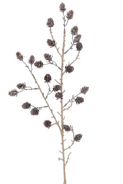 Branch Pine Cones (4x16x86cm)