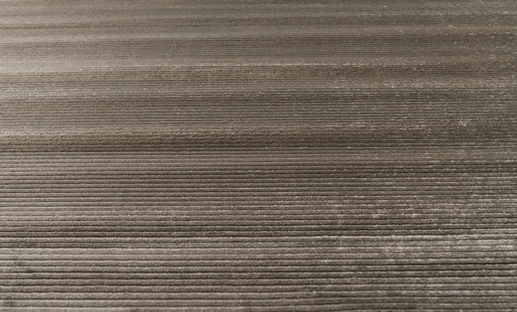 Soft Beige Carpet 280x380 cm