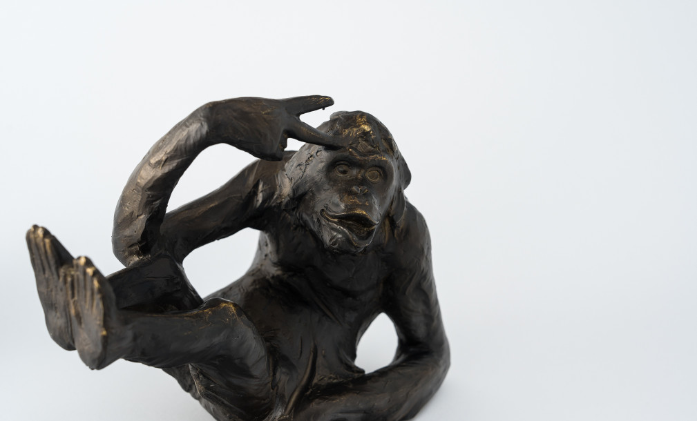 Apes Bookend