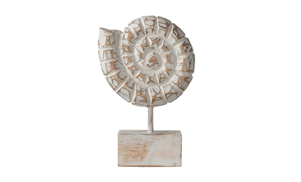Wooden Shell Motive Display Medium