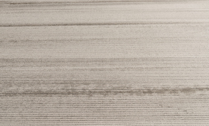 Soft Beige Carpet 280x380 cm